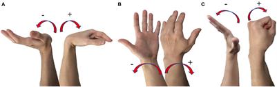 A CW-CNN regression model-based real-time system for virtual hand control